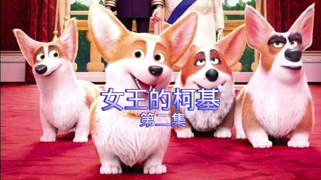 第2集 | 狗狗的世界像宫斗剧_腾讯视频