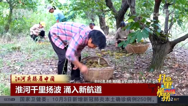 江河奔腾看中国:淮河千里扬波,涌入新航道