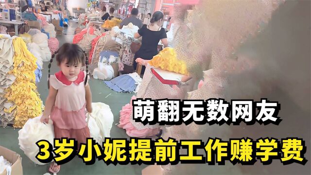 3岁小妮提前工作赚学费,萌翻无数网友