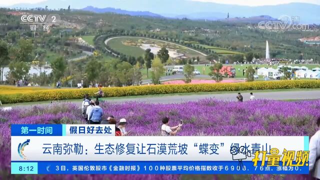 云南弥勒:生态修复让石漠荒坡“蝶变”绿水青山