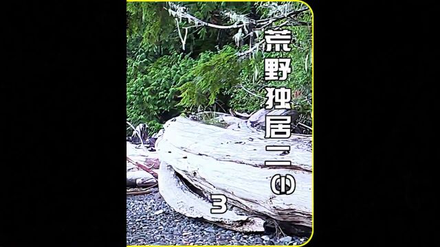 荒野求生第二季, 妹子深夜遭遇野兽, 菜鸟1天就被黑熊劝退.