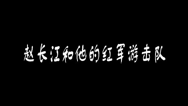 赵长江和他的游击队