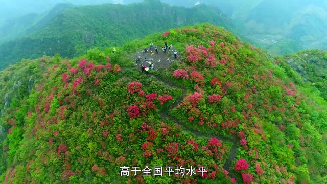 青山绿水 皖美答卷—安徽生态文明建设和生态环境保护工作的十年(六)