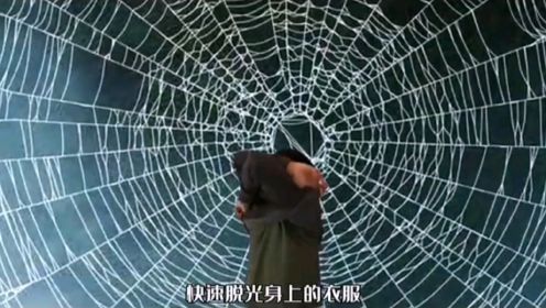 如果你陷入巨型蜘蛛网，应当怎么办？