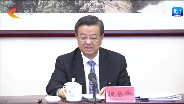 河北省代表团讨论十九届中央纪委工作报告和《中国共产党章程(修正案)》