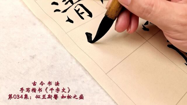 手写楷书《千字文》第034集:似兰斯馨 如松之盛