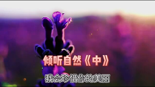 第22集:倾听自然《中》