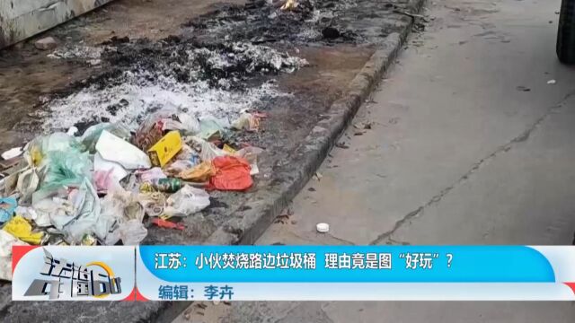 小伙焚烧路边垃圾桶,理由竟是图“好玩”?