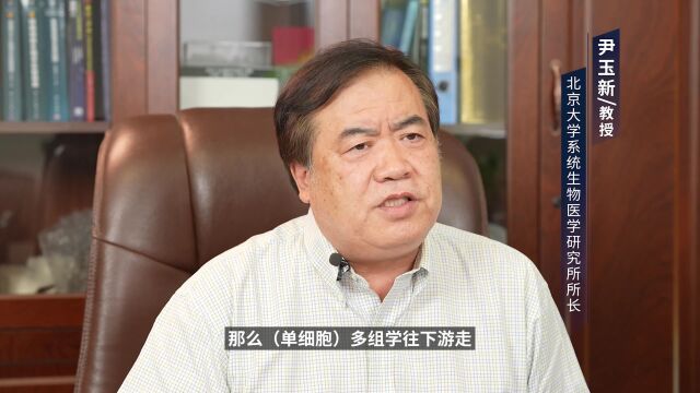 《转》访北京大学系统⽣物医学研究所尹玉新教授:10x Genomics单细胞多组学ATAC+基因表达技术与空间技术回顾与展望