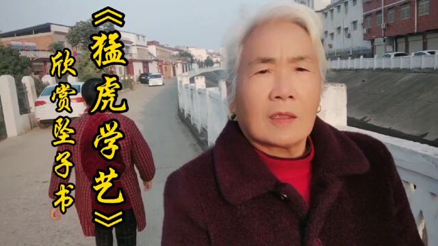 欣赏坠子书《猛虎学义》穿山跳涧你都教给我,上树的本领咋不交,弘扬文化!