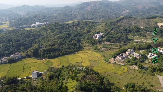 航拍广西农村里的蝴蝶恋花地,相传系古师黄朗选址,难得一见