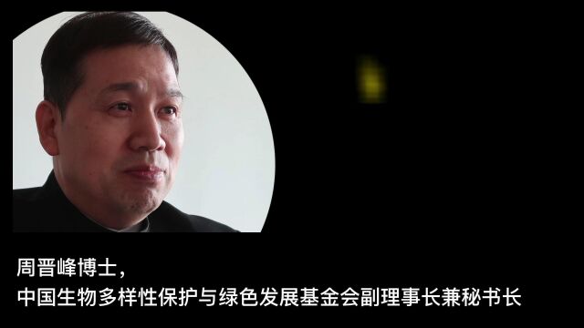 周晋峰:在科技领域应有全生命周期责任,以“可降解塑料”为例谈科技伦理