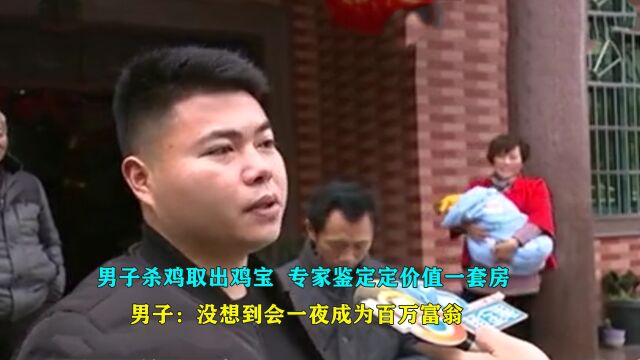  男子杀鸡意外得鸡宝,专家鉴定定价值400万, 老中医:这辈子第一次见