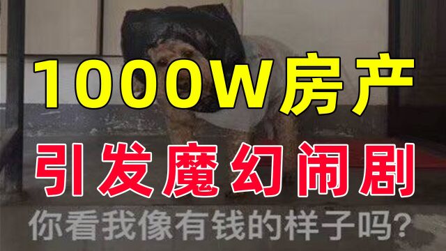 【半佛】1000W房产引发的魔幻闹剧