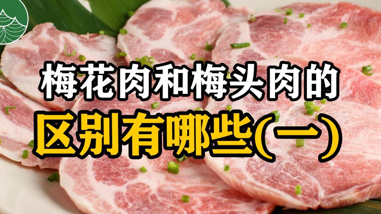 梅花肉和梅头肉的区别有哪些(一)_高清1080P在线观看平台_腾讯视频