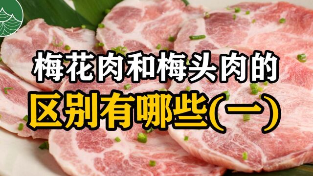 梅花肉和梅头肉的区别有哪些(一)