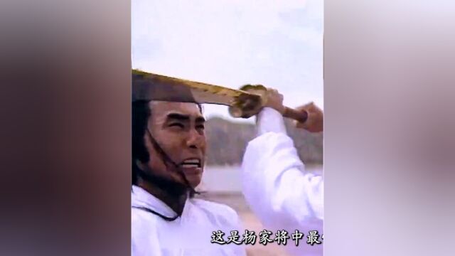 杨家将在金沙滩全军覆没!#精彩片段 #怀旧经典影视