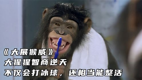 《大展猴威》大猩猩智商逆天，不仅会打冰球，还相当能整活