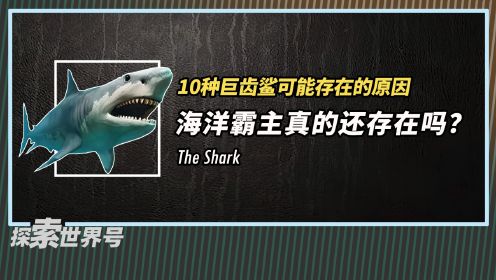 巨齿鲨真的没有灭绝吗？10个巨齿鲨可能仍然存在的原因