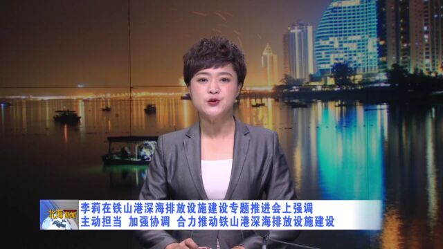 李莉在铁山港深海排放设施建设专题推进会上强调:主动担当,加强协调,合力推动铁山港深海排放设施建设