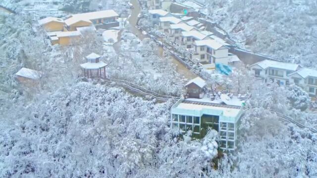 一场雪,才发现紫阳的素颜这么美!