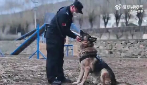 涉嫌严重违纪违法,海南两名干部被查!丨海上夜闻ⷨ熥즱‡