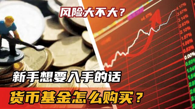 货币基金怎么购买?新手想要入手的话,风险大不大?