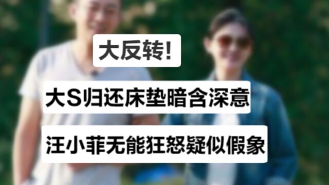 汪小菲试图破解徐家公关大法,大S默默出手,亿万财产分割成谜