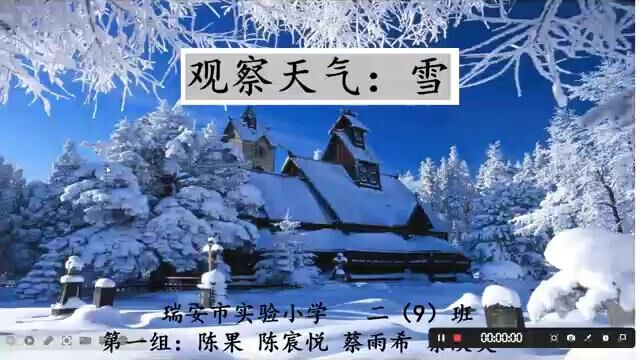 观察天气:雪