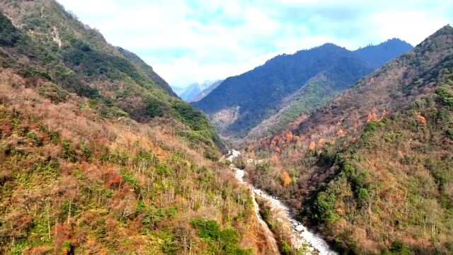 半山彩林半山雪 平武县老河沟美得令人窒息 平武县融媒体中心 记者:钟小明