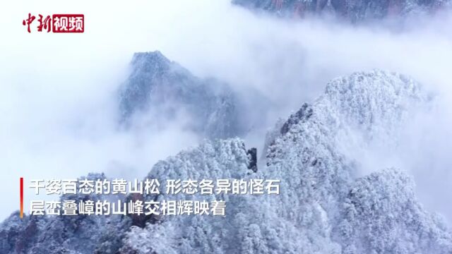 安徽黄山:奇松怪石在雪景映衬下巍峨壮观