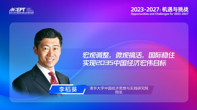 李稻葵:宏观调整,微观搞活,国际稳住,实现2035中国经济宏伟目标