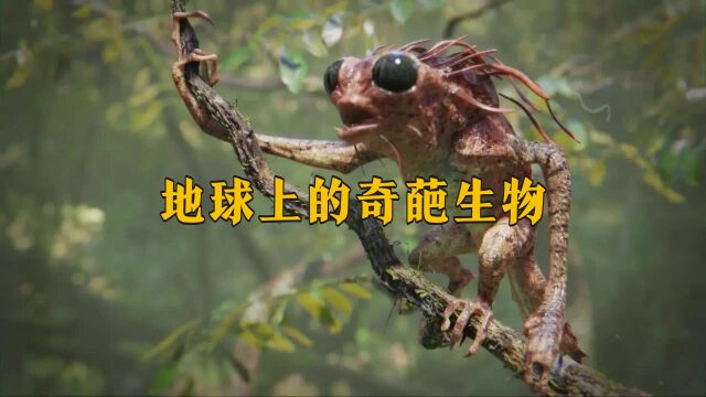 地球上的奇葩生物