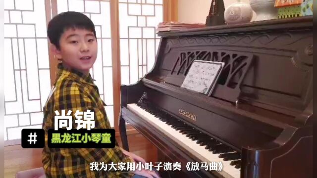 黑龙江琴童用小叶子智能陪练演奏《放马曲》