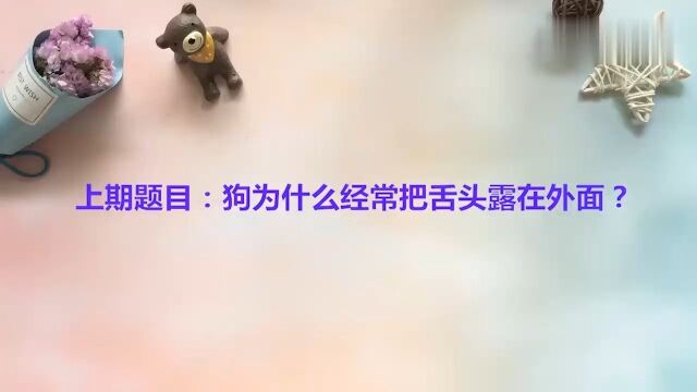 简单几步教你制作空水晶泥,无硼砂无甘油,手感和拉伸性都超级棒