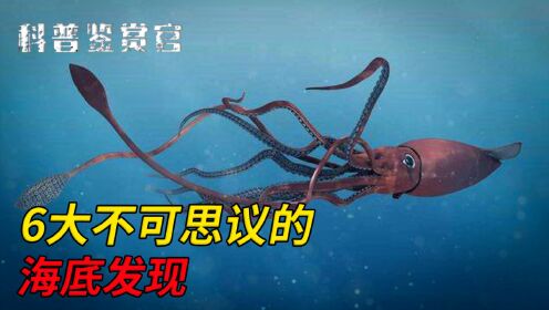 6大不可思议的海底发现，被囚禁在海底的面具男，8米长透明生物