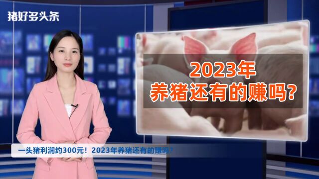 2022年一头猪利润约300元!2023年养猪还有的赚吗?预测来了!