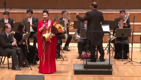 节日欢歌（演唱：潘幽燕，伴奏：上海城市管乐团，指挥：丁中一）