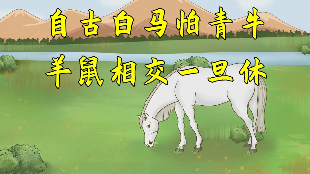 "自古白马怕青牛,羊鼠相交一旦休",老祖宗的属相讲究,准吗