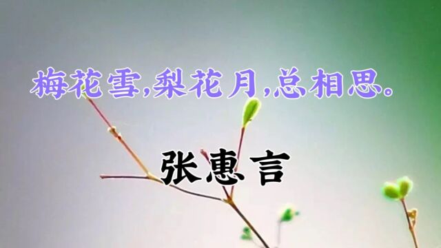 梅花雪,梨花月,总相思——张惠言