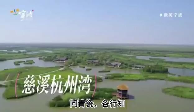 来宁波杭州湾一定要去看的风景,要不这一生会后悔.#亲子游玩好去处 #解封后一定要冲的旅行地