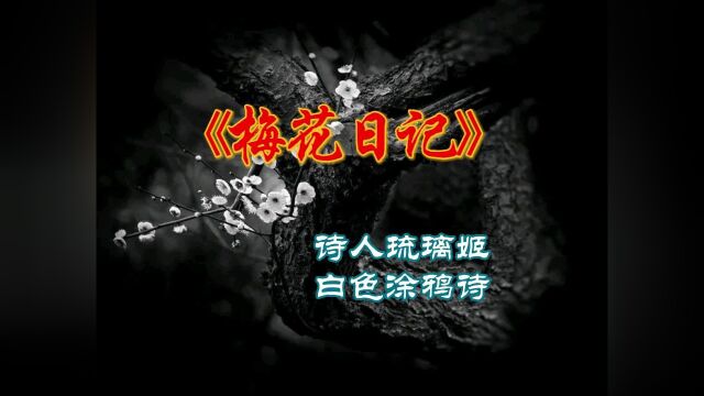 【诗人琉璃姬】涂鸦诗歌:《梅花日记》