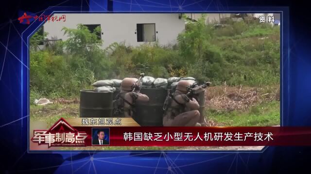 魏东旭:“RotemL”自杀式无人机具有局限性 无法攻击重型装甲