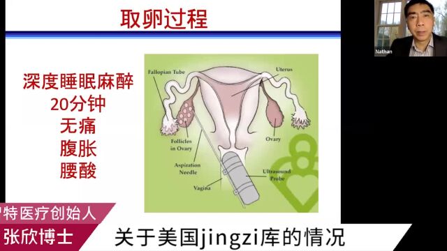 智特张欣美国墨西哥试管婴儿:美国jingzi库的情况