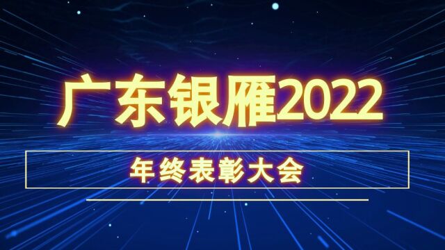 广东银雁年会颁奖典礼表彰大会