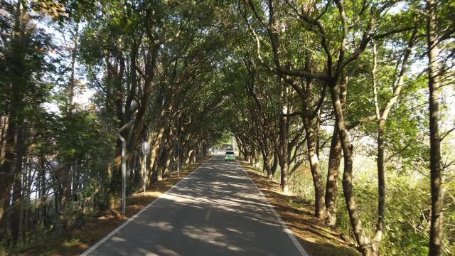 十里香樟大道、艾溪湖