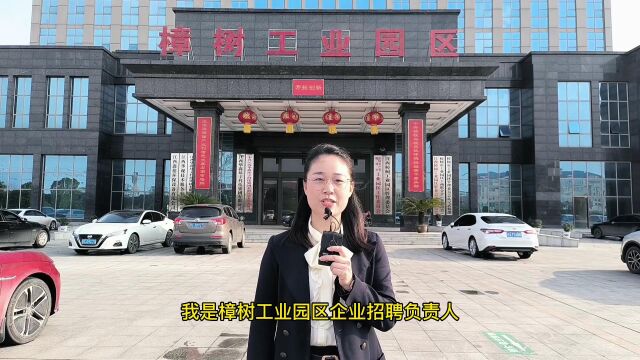 2023年樟树市工业园区企业新春人才专场招聘会樟树招聘网