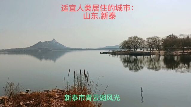 我的家乡风光