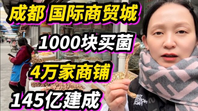 成都国际商贸城,154亿建成,1000块买牛肚菌,4万商铺