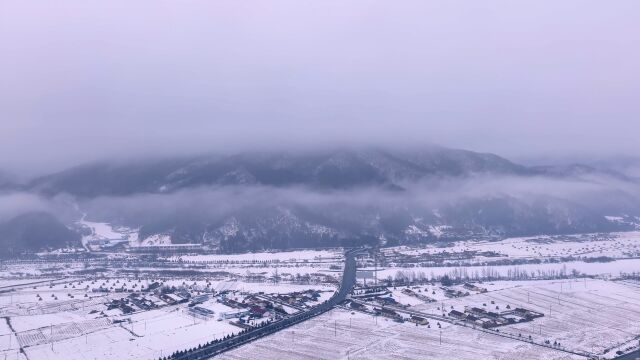 连朝浓雾如铺絮,已识严冬酿雪心